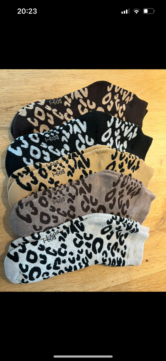 Leo Socken