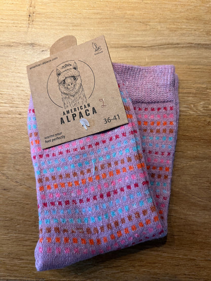 Alpaca Socken Quadrat bunt Gr 36-41 JN26-8221 🦙