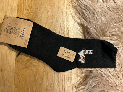 ✅ Alpaca Socken Gr. 36-41 "Mit Alpaca- Dick"