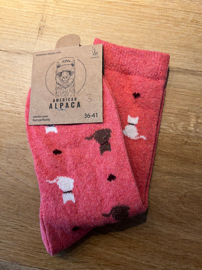 Alpaca Cats Socken Gr 36-41 JN26-8111 🦙