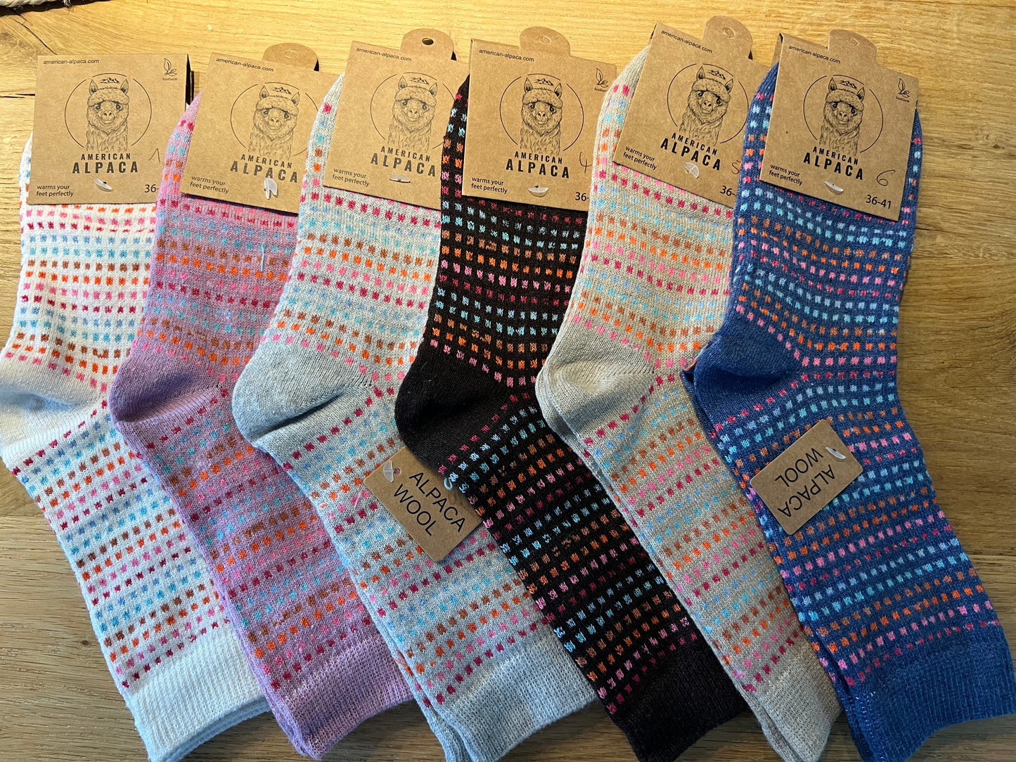 Alpaca Socken Quadrat bunt Gr 36-41 JN26-8221 🦙