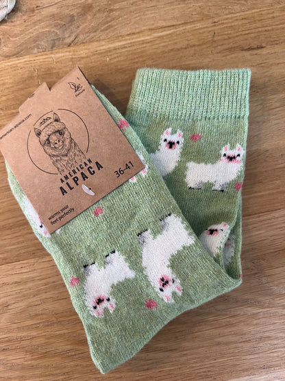 🦙Alpaca mit Alpaca 8222 36-41