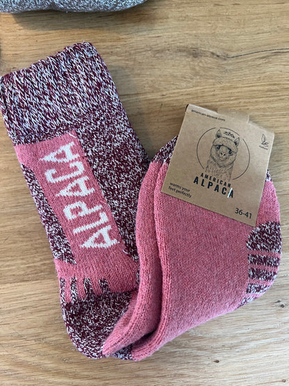 🦙Alpaca mit Alpaca Schriftzug 36-41 8302
